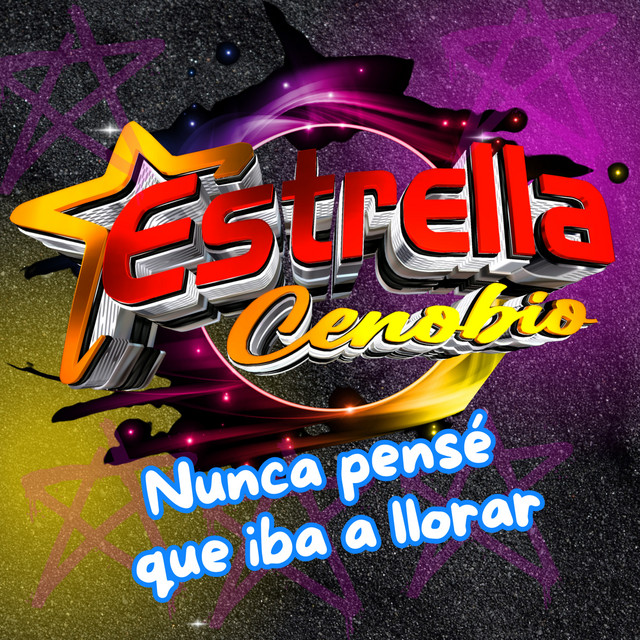 Nunca Pense Que Iba a Llorar - Cover