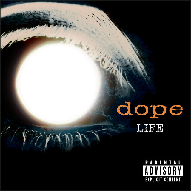 Life cover art
