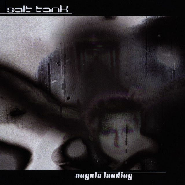Angels Landing cover art