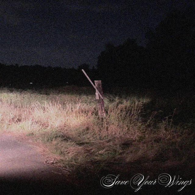 Save Your Wings cover art