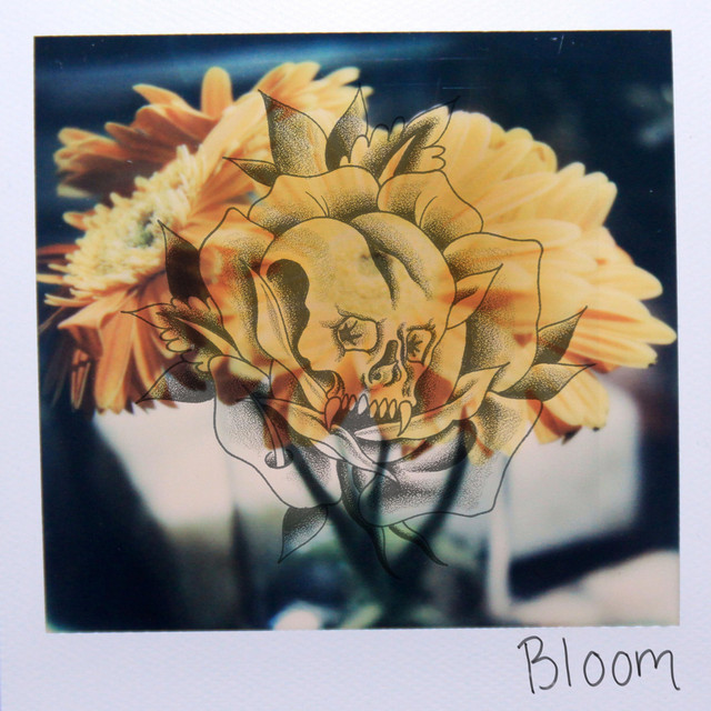 Bloom