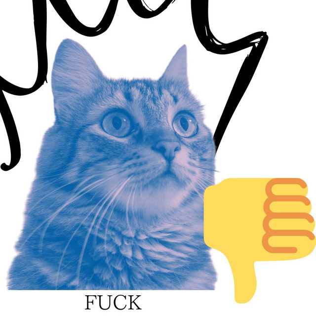 FUCK cover art