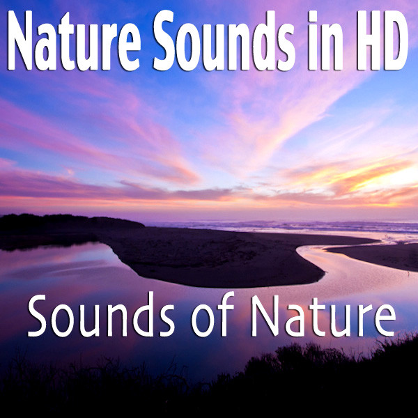 Nature Sounds In HD - Album by Sounds Of Nature | Spotify