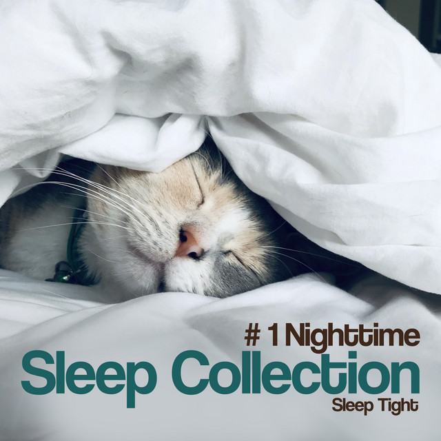 # 1 Nighttime Sleep Collection - Album by Sleep Tight | Spotify