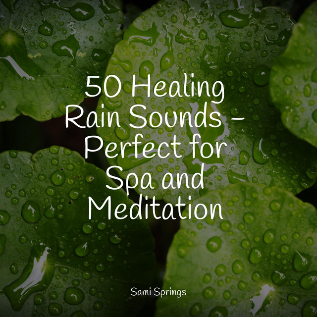 50 Healing Rain Sounds - Perfect for Spa and Meditation - Album by ...
