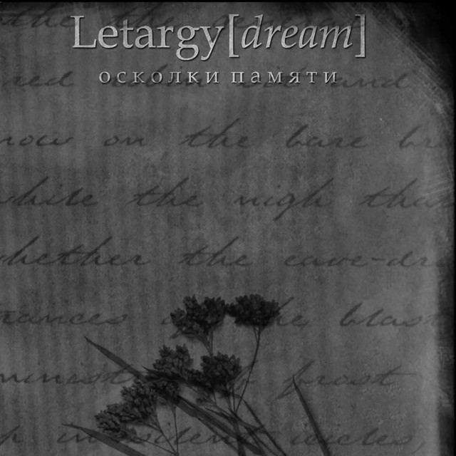 Letargy Dream Photo