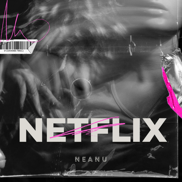 Netflix - song and lyrics by Neanu | Spotify