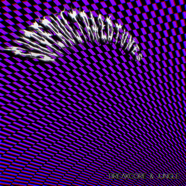 Обкладинка superultra2dtunes — Breakcore & Jungle