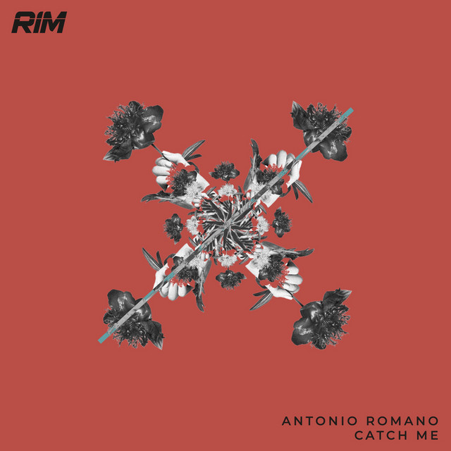 Don't Be Shy album art