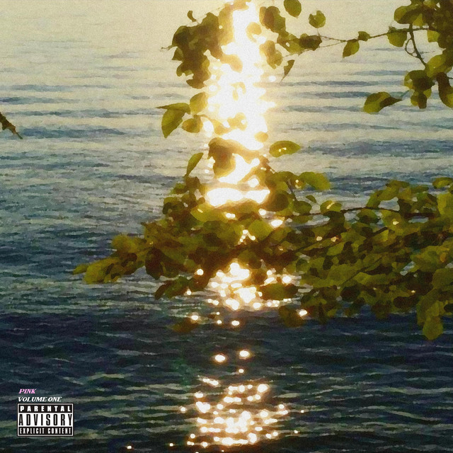 RØHI PRESENTS: Pink, Vol. 1 cover art
