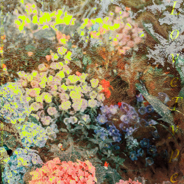 Love Type cover art