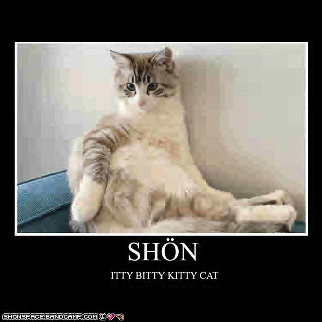 shonspace