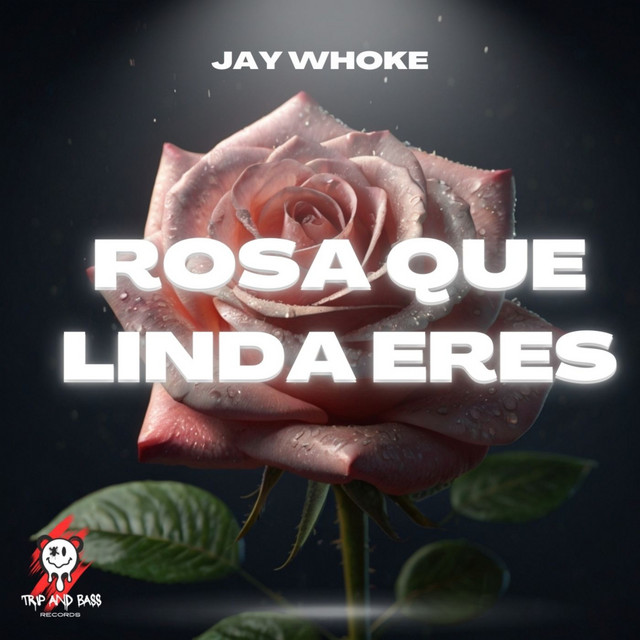 Rosa Que Linda Eres - TECH HOUSE - Radio Edit