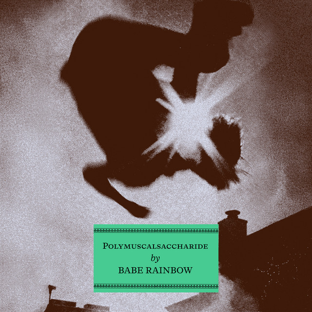 Polymuscalsaccharide cover art