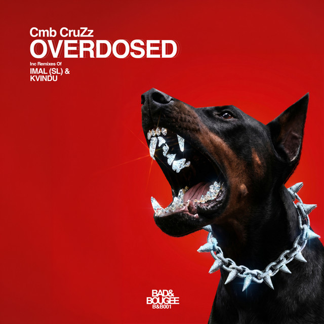 Overdosed - Imal SL Remix cover art