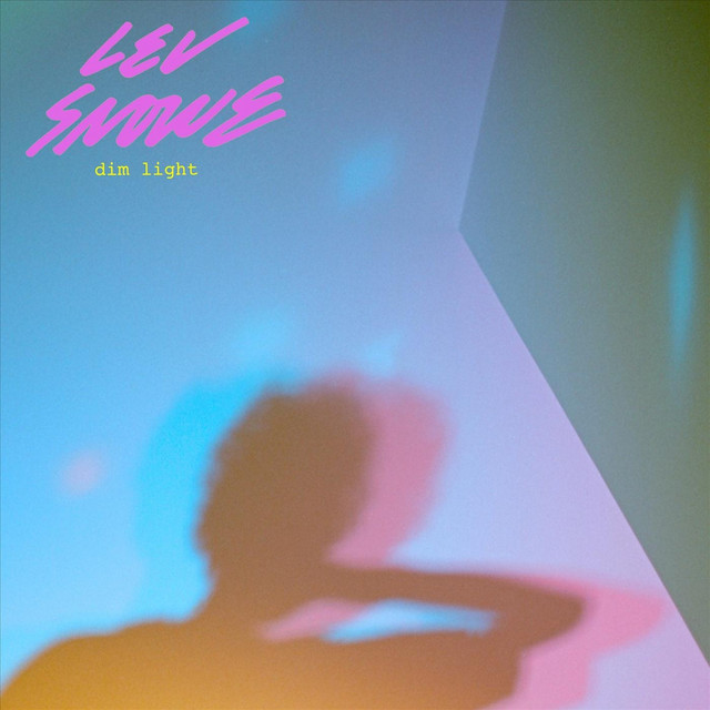 Dim Light cover art