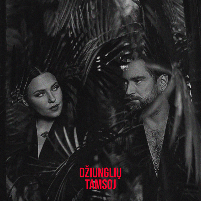 Džiunglių Tamsoj cover