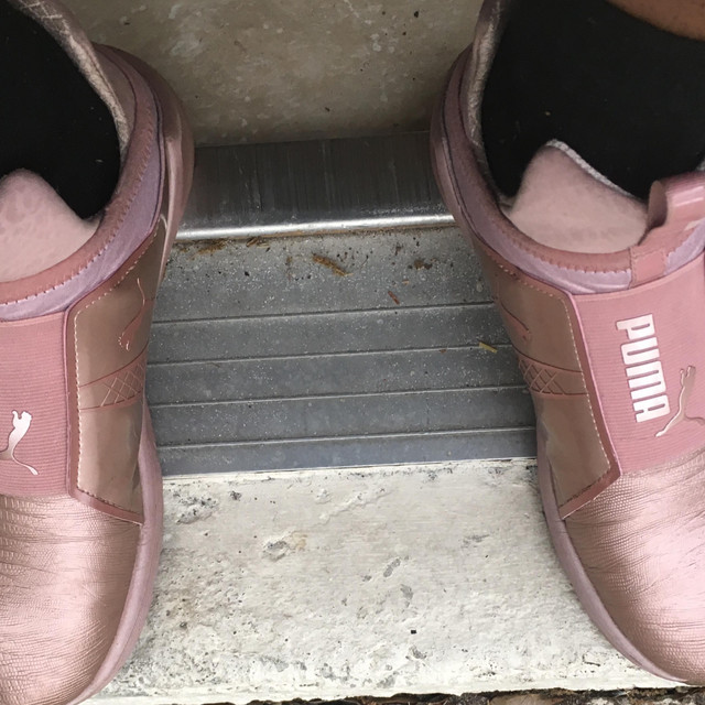 Puma cover art