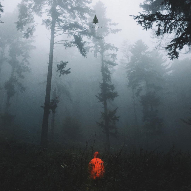 endless rain