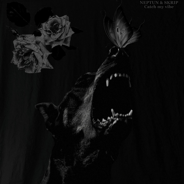 Обкладинка: Catch My Vaib — Neptun