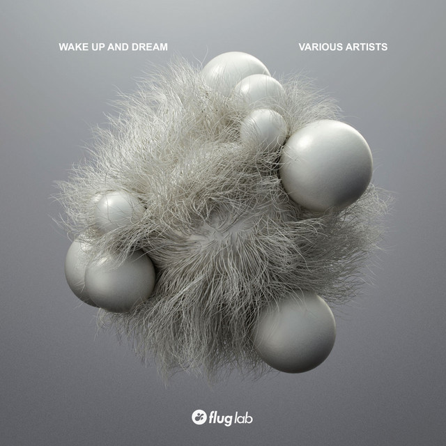 Voie album art