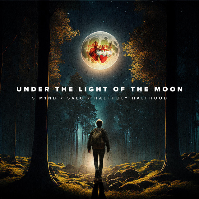 UNDER THE LIGHT OF THE MOON cover art