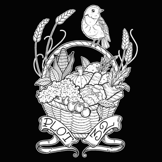 Jungle cover art
