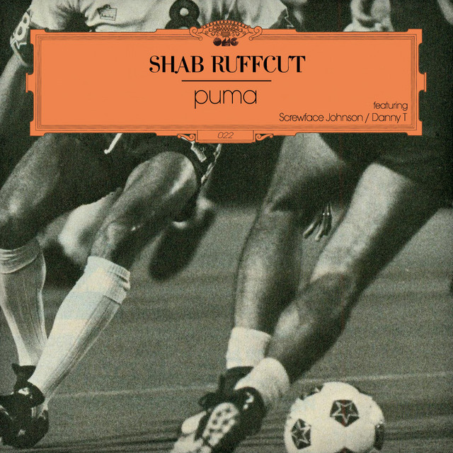 Puma cover