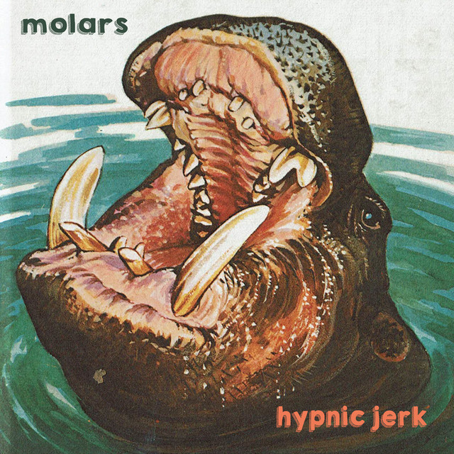 Molars Photo
