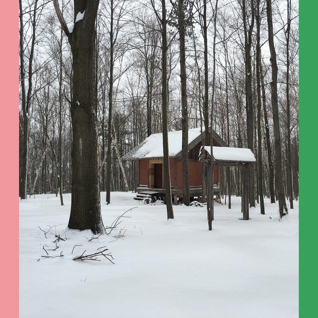 Sounds of the Birch Forest cover art