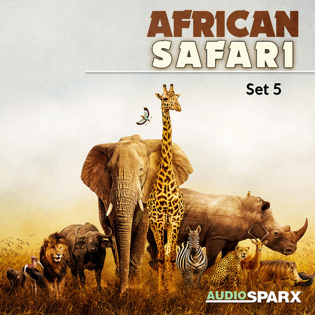 World All You Need Is Here for an African Documentary (Intro Loops, End Strings and FX Master)