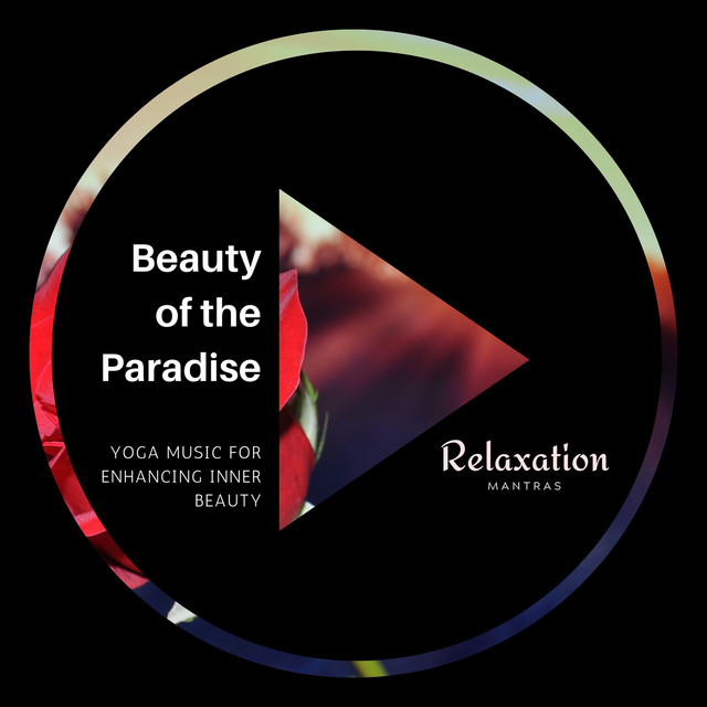 Pure Delicacy - song and lyrics by Amazing Spa Music | Spotify
