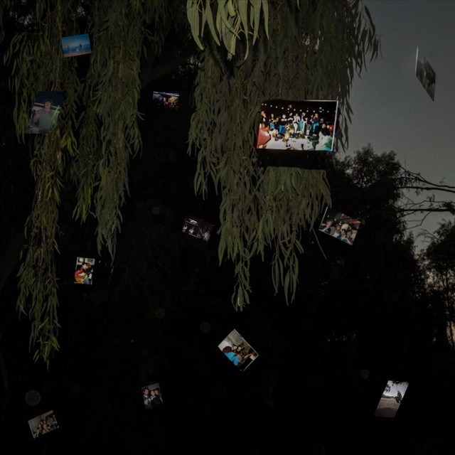 Pictures cover art