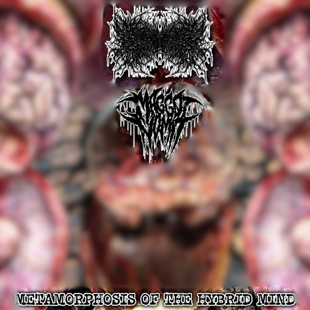 Metamorphosis of the Hybrid Mind cover