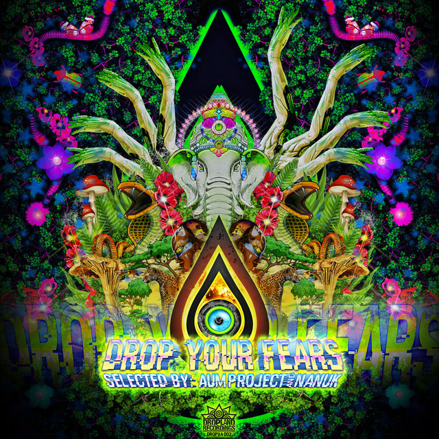 Drop Your Fears cover art