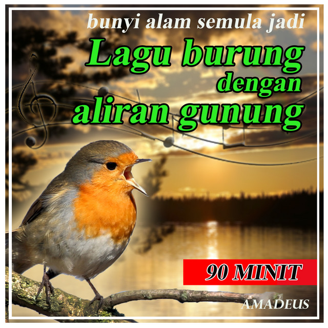 Lagu Burung Dengan Aliran Gunung Bunyi Alam Semula Jadi By
