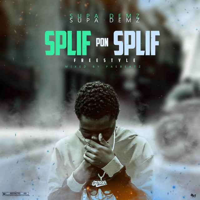 SPLIF PON SPLIF FREESTYLE (SKILLIBENG BRIK PAN BRIK COVER).