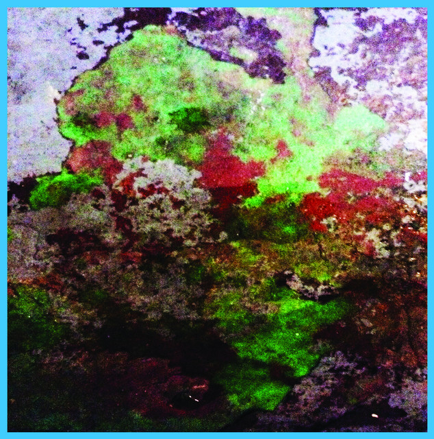 Th Duo cover art