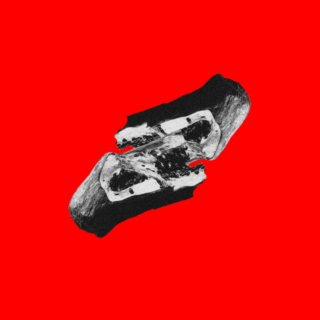 VIDAMORTECONTEÚDO by Molho Negro