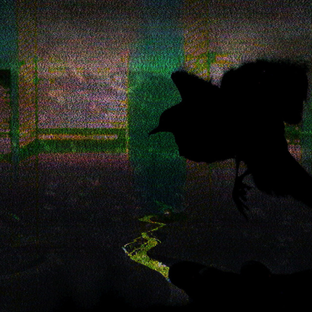Visual Ties cover art