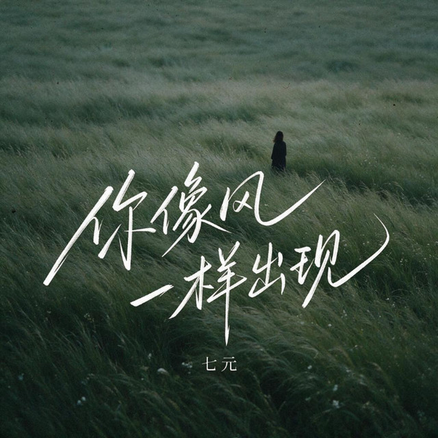 你像风一样出现 album image