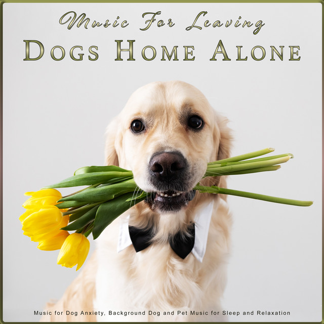 Music For Leaving Dogs Home Alone: Music for Dog Anxiety, Background Dog and Pet Music for Sleep and Relaxation cover art