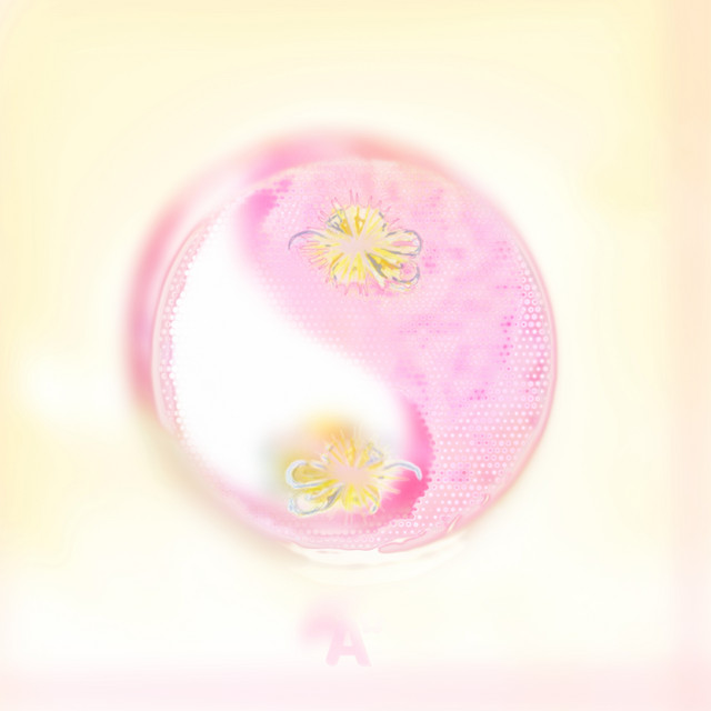 perfect balance cover