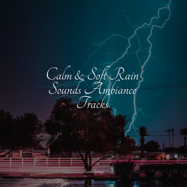 50 Sounds of Rain for Sleep - Album by Schlaflieder Relax | Spotify