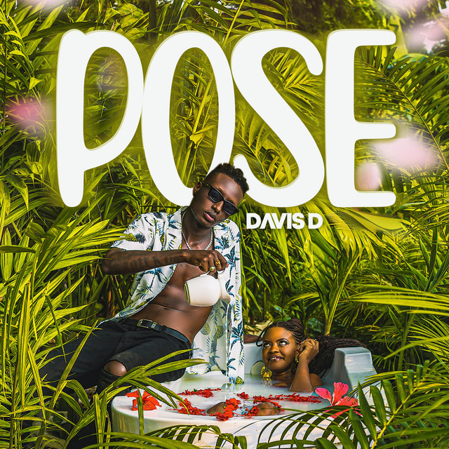 Pose cover art