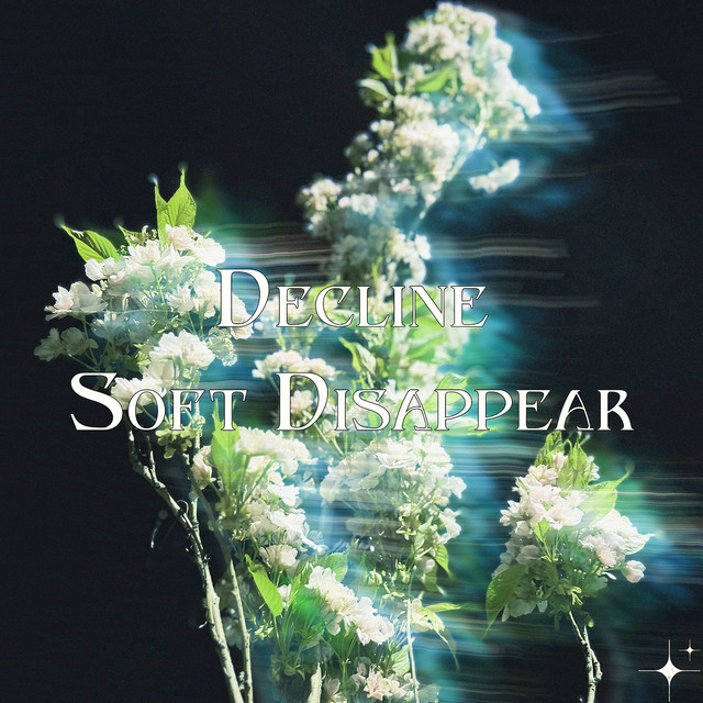 Soft Disappear cover art