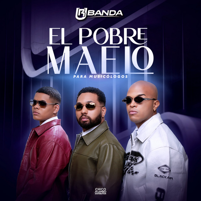 El Pobre Maelo (Para Musicólogos) album image
