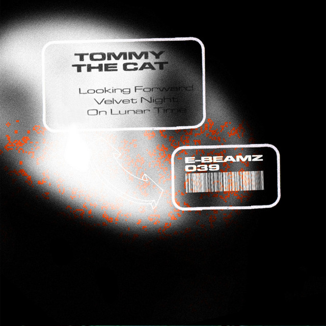 Tommy The Cat - Looking Forward