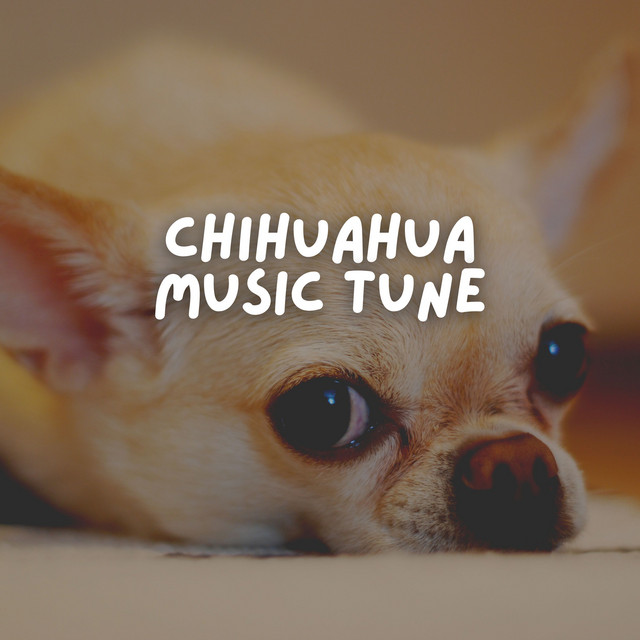 Chihuahua Music Tune cover art