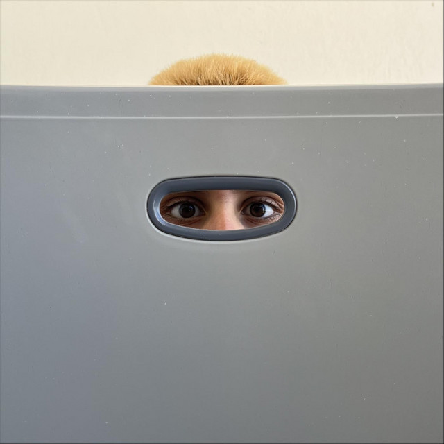 help cover art